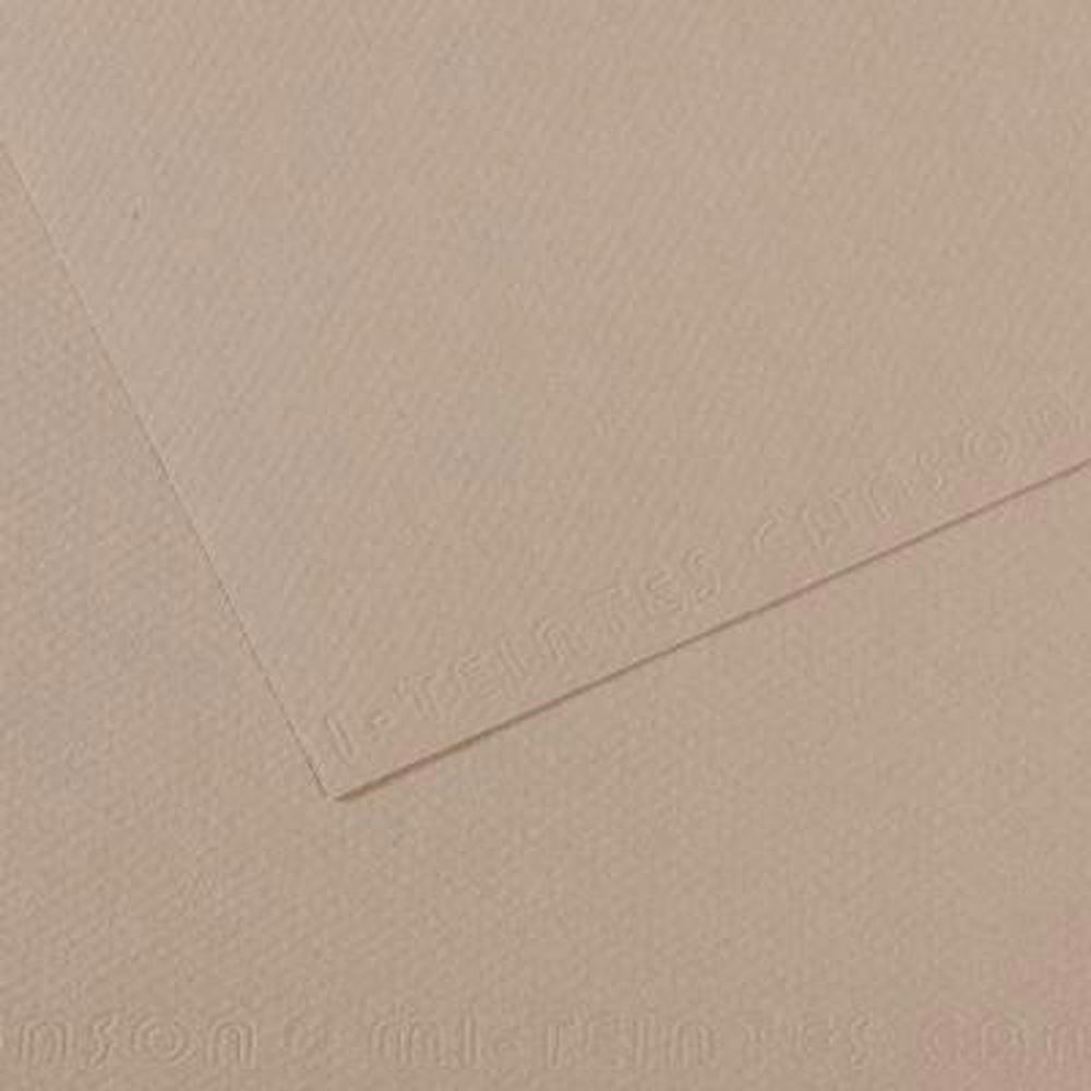 Mi-Teintes Pastel Paper 122 Flannel Gray 19.5x 25.5 inch