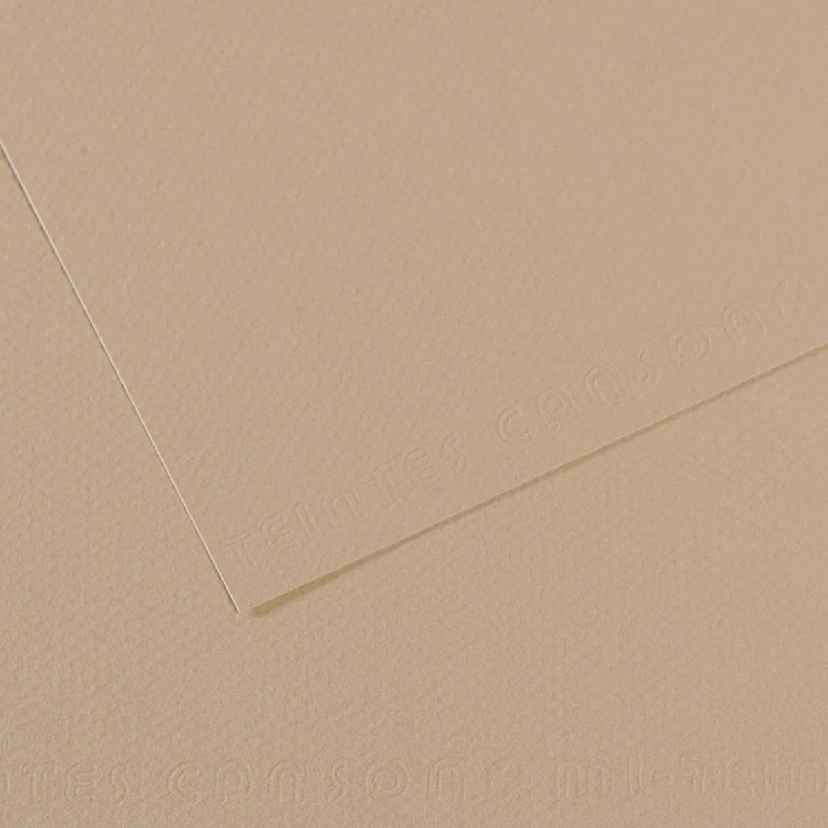 Mi-Teintes Pastel Paper 343 Pearl 19.5x 25.5 inch