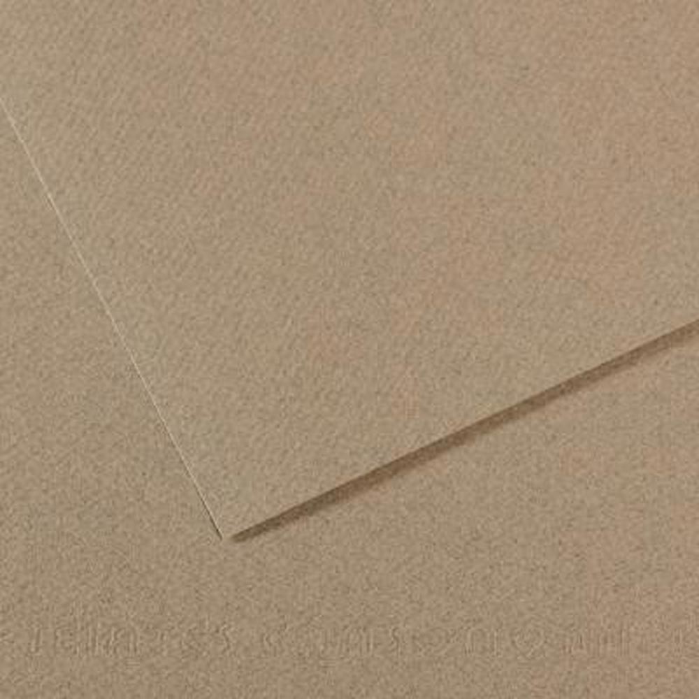 Mi-Teintes Pastel Paper 429 Felt Gray 19.5x 25.5 inch