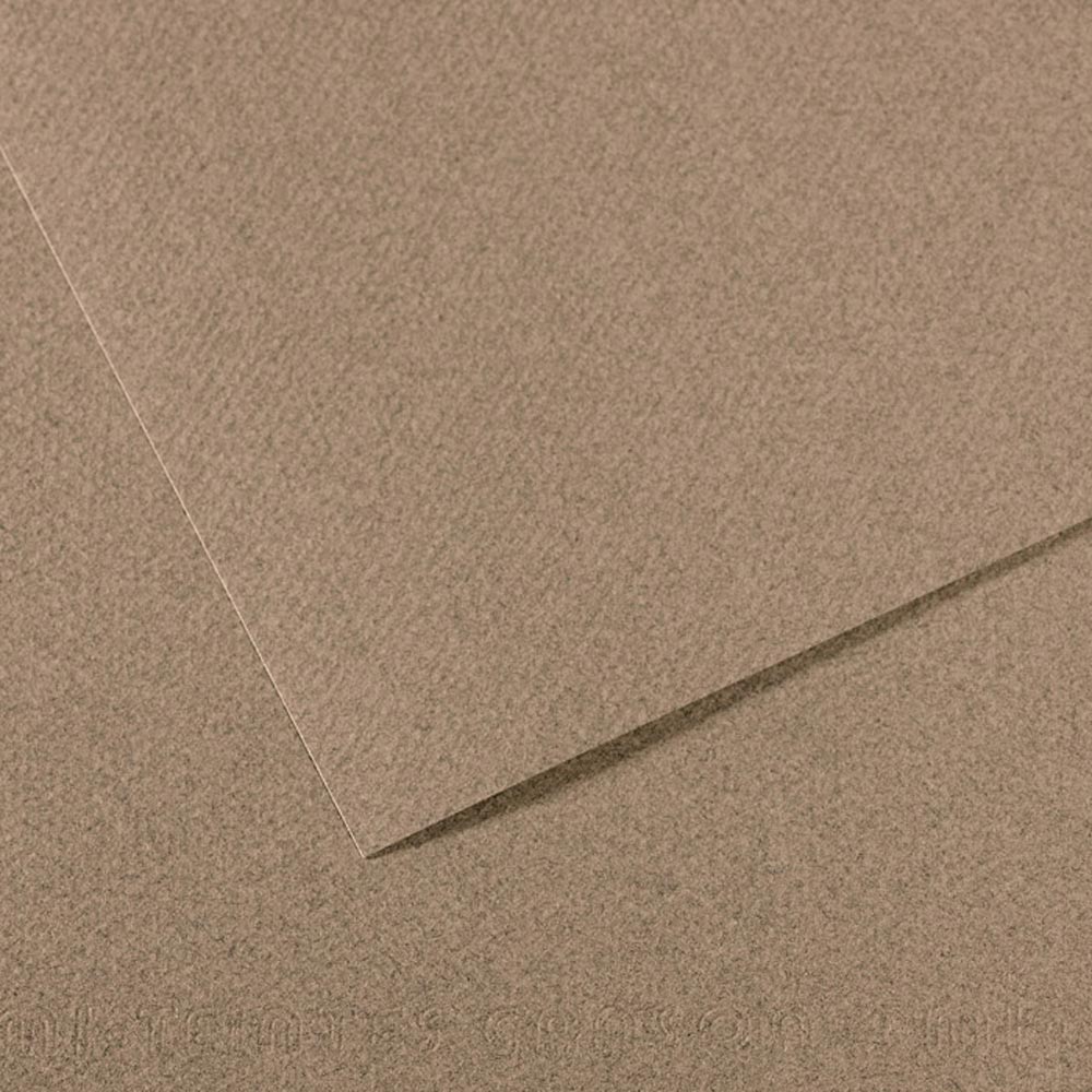 Mi-Teintes Pastel Paper 431 Steel Gray 19.5x 25.5 inch