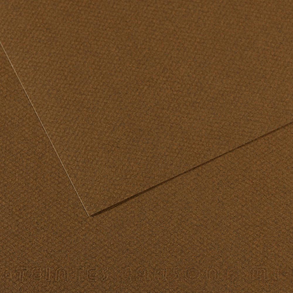 Mi-Teintes Pastel Paper 501 Tobacco 19.5x 25.5 inch
