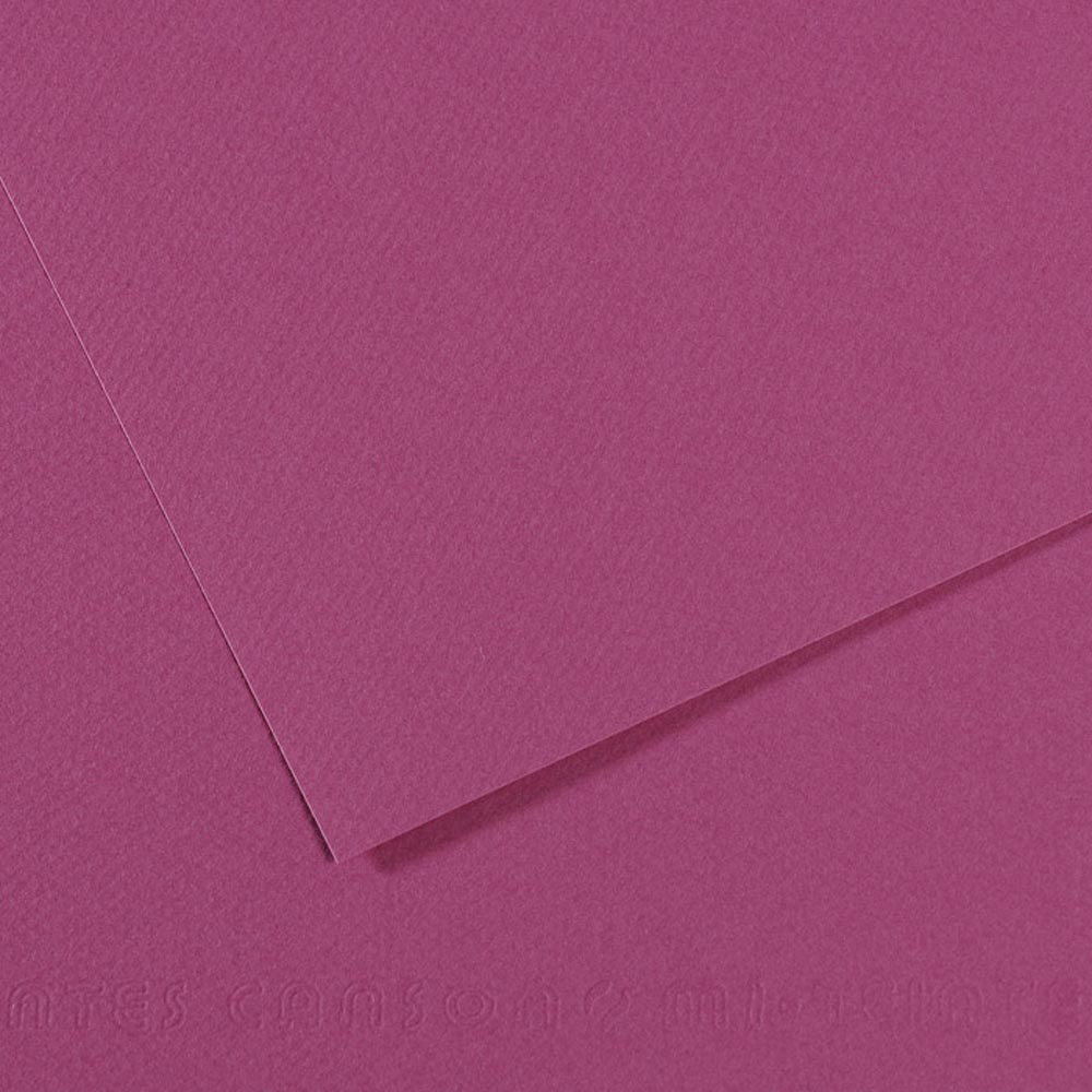 Mi-Teintes Pastel Paper 507 Violet 19.5x 25.5 inch