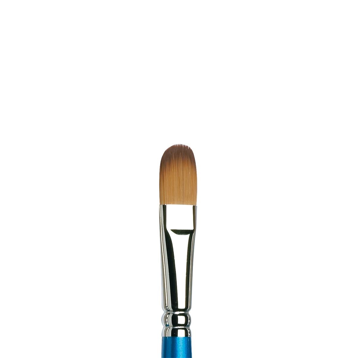 Cotman Watercolour - Series 668 Filbert Brush 1/2