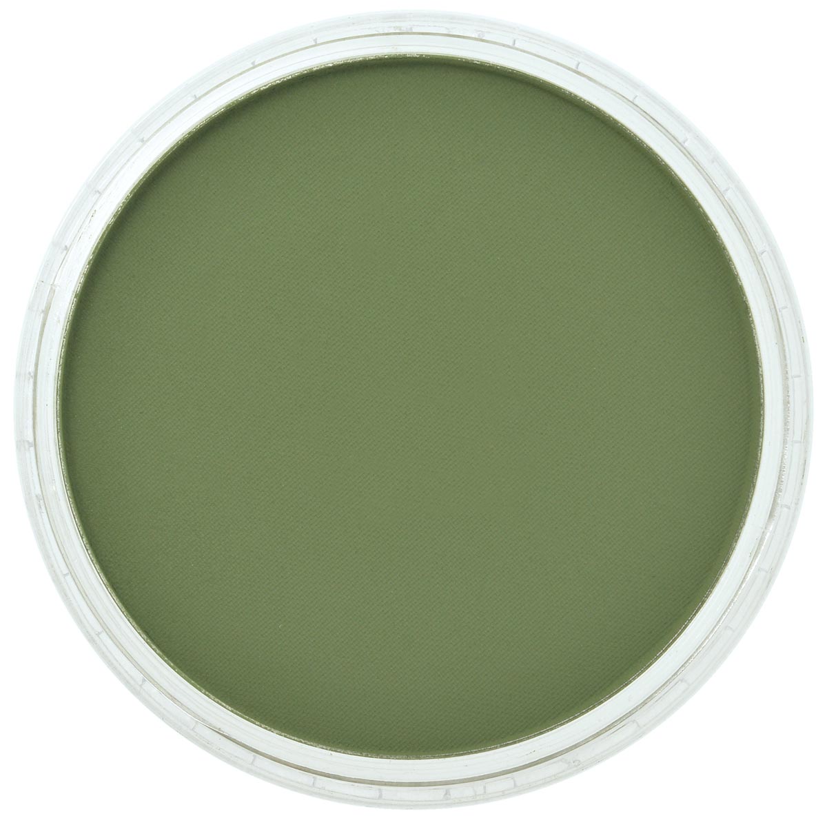 Pan Pastel Chromium Oxide Green Shade 660.3