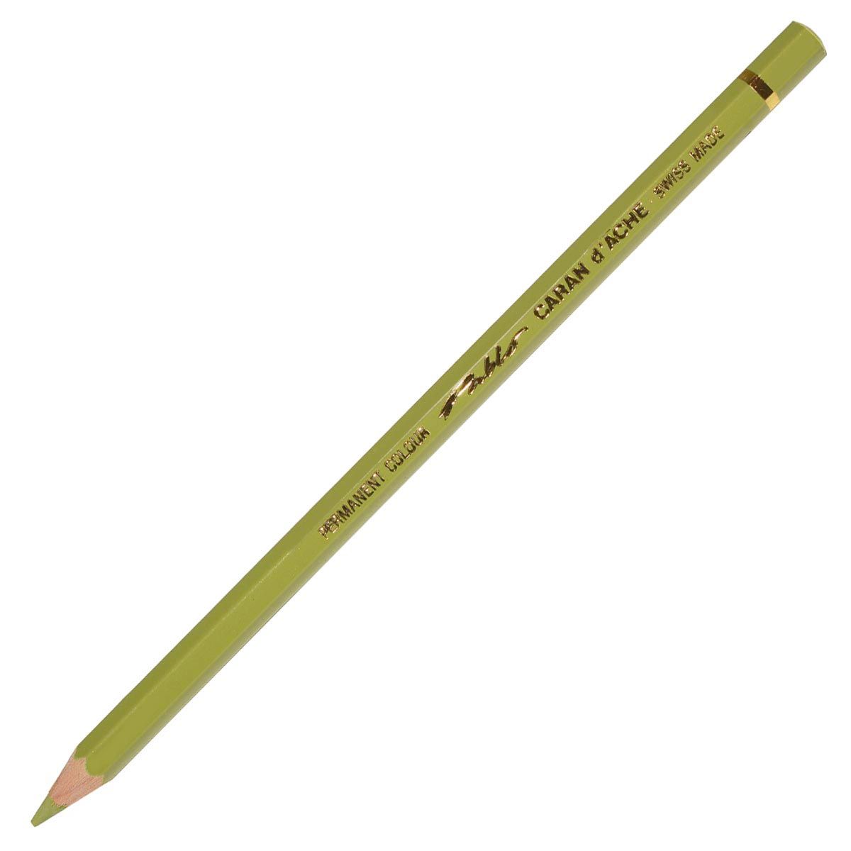 Caran d’Ache Pablo Coloured Pencil - Khaki Green 016