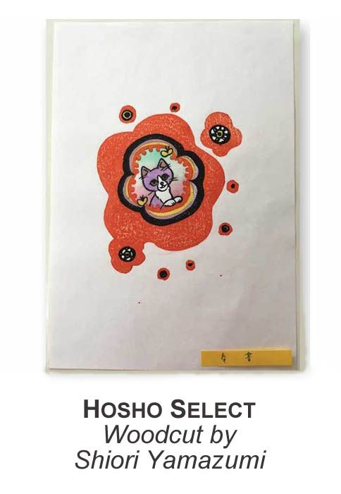 Awagami Hosho Select - 17 x 20.5 Inch