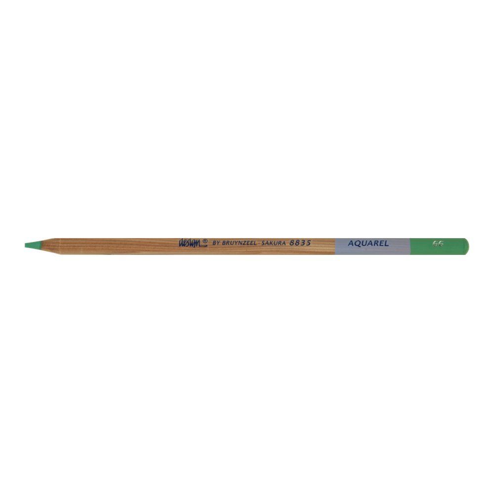 Bruynzeel Aquarel Pencil - Green #66