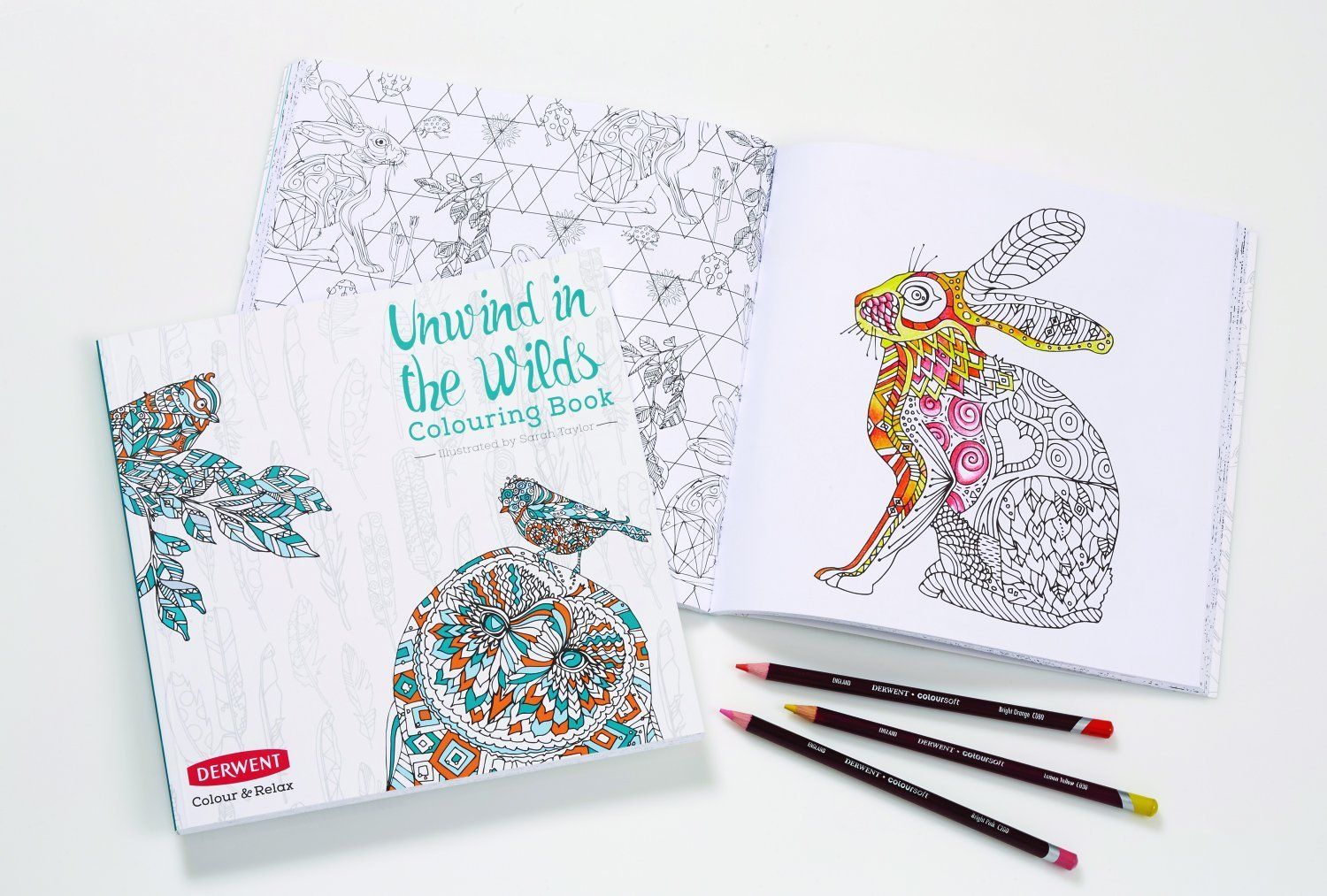 Derwent Unwind in The Wilds Colouring Book with 10 Coloursoft Pencils