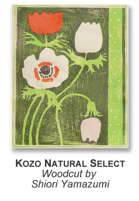 Awagami Kozo Natural Select - 17 x 20.5 Inch