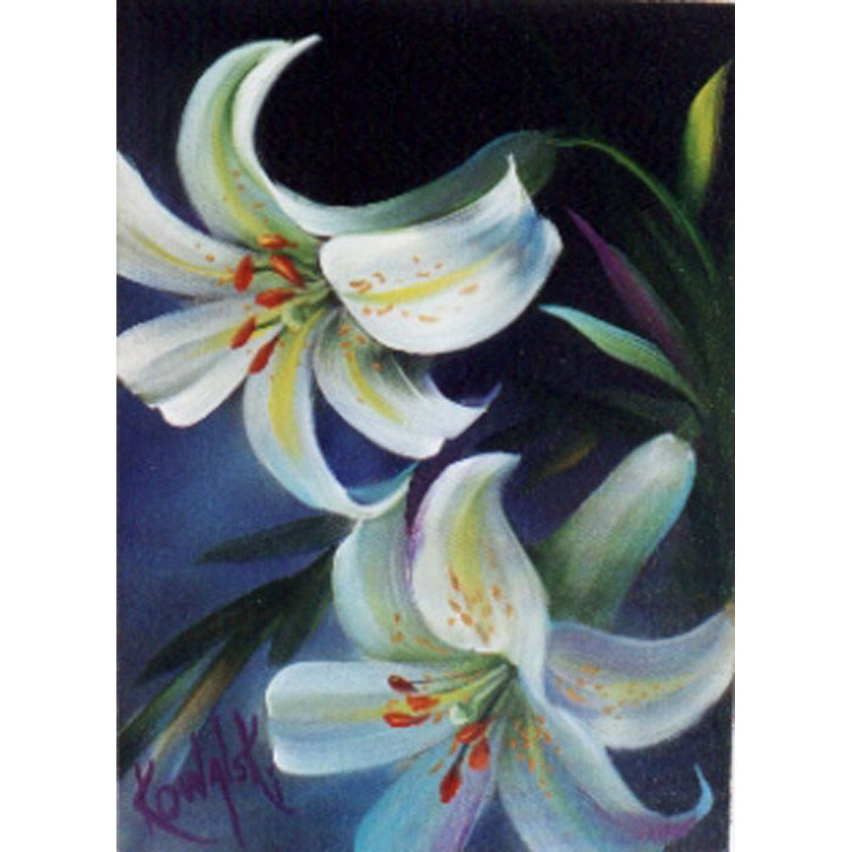 Bob Ross How To Pattern Packet - White Lilies w/Border