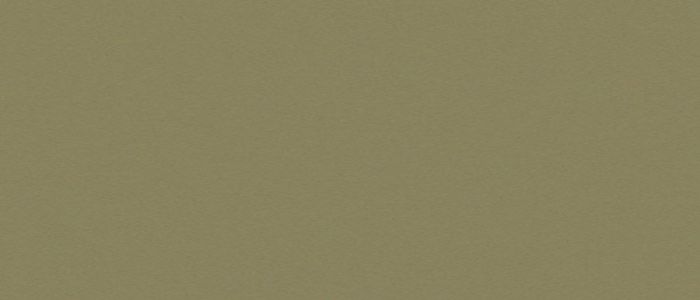 Art Spectrum Colourfix Coated Pastel - Olive Green 9" x 12"