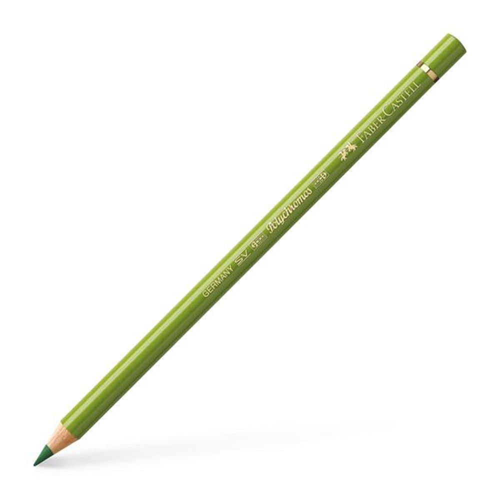 Polychromos Colour Pencil, Earth Green Yellowish 168