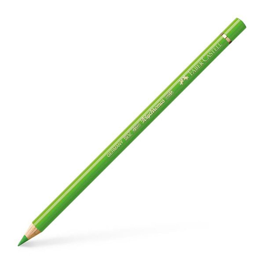 Polychromos Colour Pencil, Grass Green 166