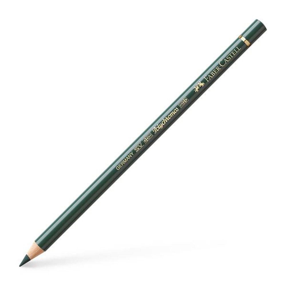 Polychromos Colour Pencil, Juniper Green 165