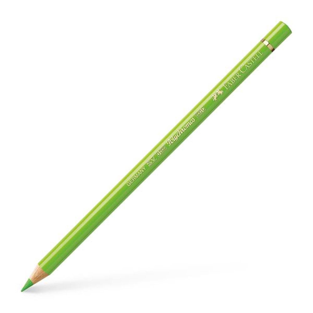 Polychromos Colour Pencil, Light Green 171