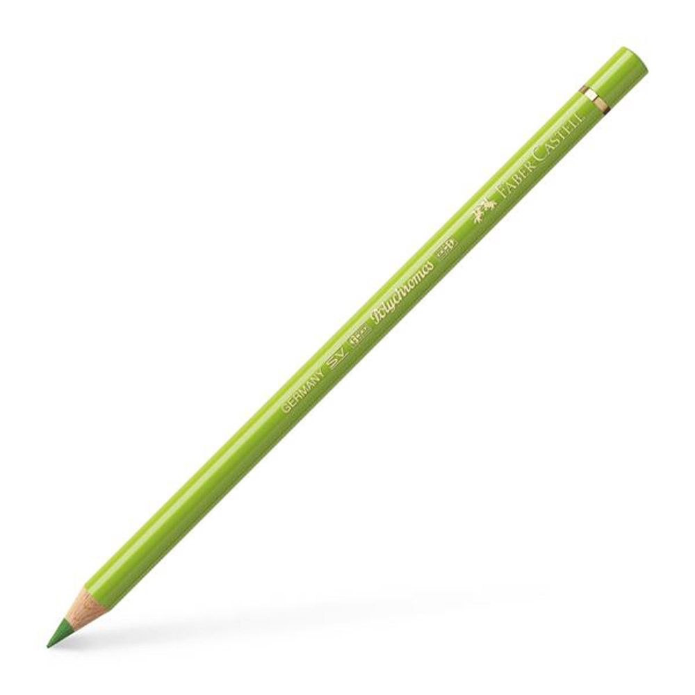 Polychromos Colour Pencil, May Green 170