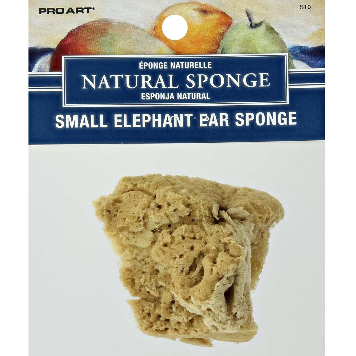 Pro Art Small Elephant Ear Natural Sponge
