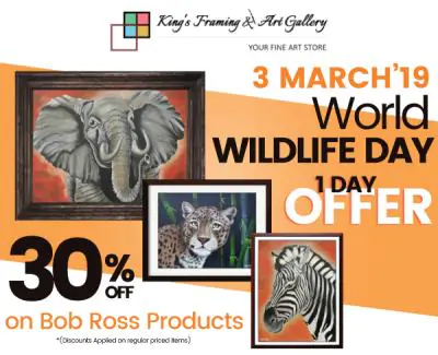 Biggest Wildlife day Sale and Women's day sales!